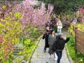 推动文旅商体展消费联动升级，浦东十大“桃”购商圈点燃春日经济