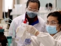 深度｜生物医药资产大爆发后，中国创新药能走出“下一个药王”吗