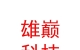 西藏雄巅科技发展有限公司