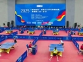 南海新区：300余名乒乓少年点燃夏日运动激情