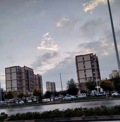 mmexport1639199488856.jpg