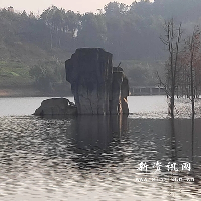 w7 拷贝.jpg