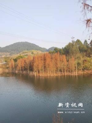 w10 拷贝.jpg