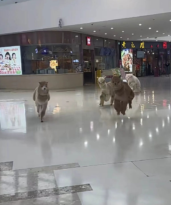 0.jpg