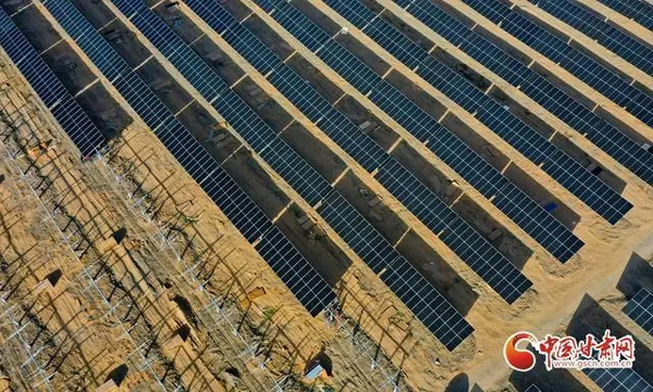00000.jpg