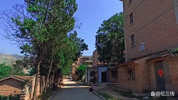 0.jpg