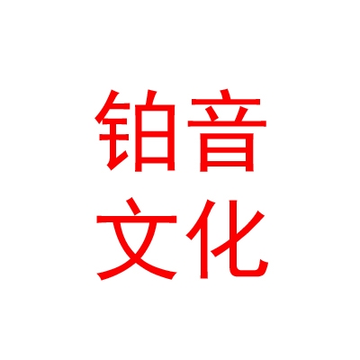 宁夏铂音文化传媒有限公司