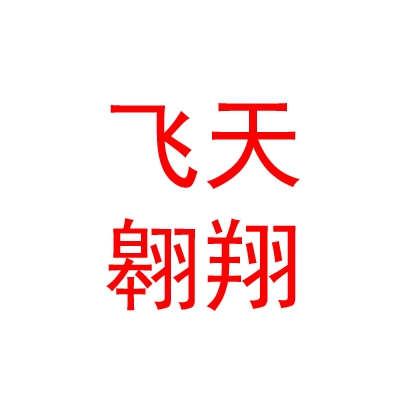 太原飞天翱翔数码科技有限公司