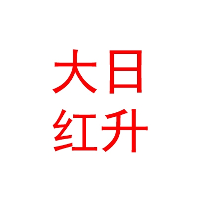 太原大日红升房地产经纪有限公司