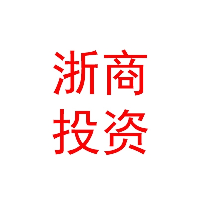 乐山浙商投资有限公司