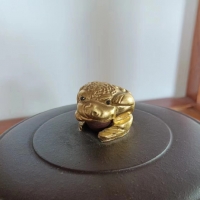 新区生活