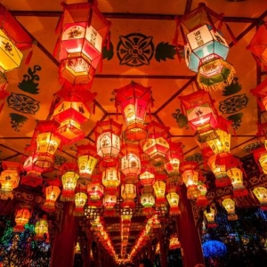 中国最悠久的灯会之一，至今已举办33届，号称“天下第一灯” ... ... ...