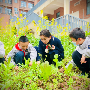 拔草、松土、除虫…… 两江新区行远小学别样开学
