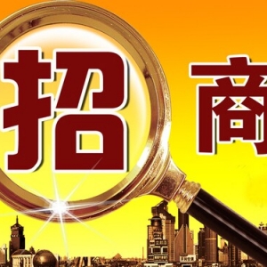 新区召开招商引资工作会议 紧抓快速发展窗口期 争取招商引资新突破 ... ... ...