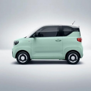 五菱汽车：宏光 MINIEV 上市 200 天销量突破 20 万辆