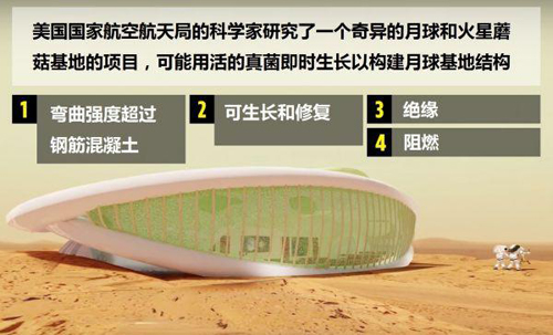 想要什么样的房子？让蘑菇给你“长”