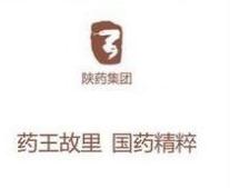 陕药集团党委书记、董事长翟日强一行调研空港新城