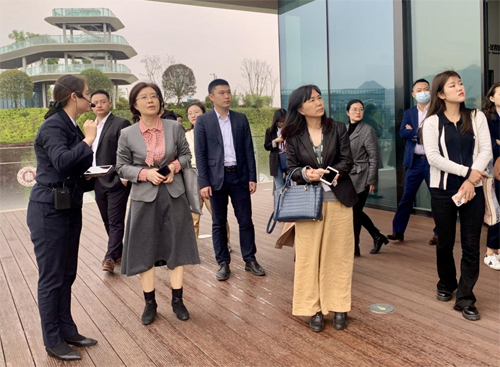 两江新区欧美同学会参观两江协同创新区