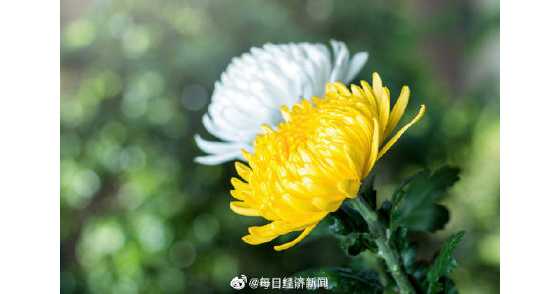 马来西亚推防疫祭品礼盒，包括纸质口罩、洗手液......