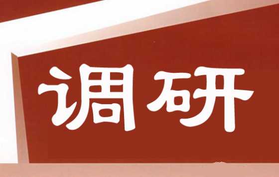 泾河新城开展重点项目调研活动