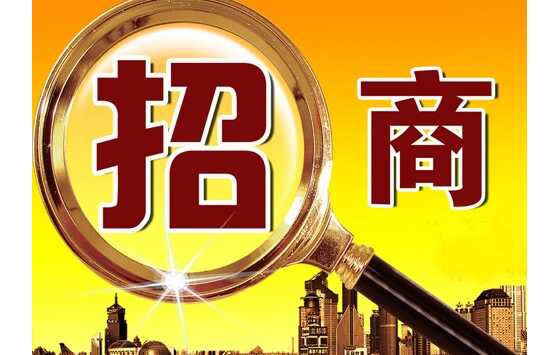 李东新主持召开新区2021年第十二次管委会会议 安排部署招商引资、土地管理等重点工作  ...