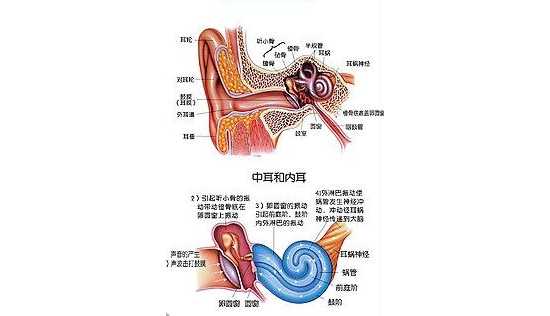 抬头晕低头晕，晕车晕超市，连家务活也做不了 杭州大妈晕了50多年才知是耳朵里有问题  ...