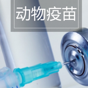 甘肃省首批10万毫升动物疫苗驰援柬埔寨
