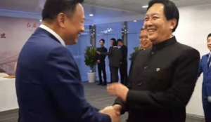 唐国强喜提红旗H9加长版，比蔡国庆的H9更霸气！车内专属刺绣 ... ...