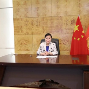 杜德文大使出席第十四届“汉语桥”世界中学生中文比赛吉尔吉斯斯坦赛区决赛 ... ...