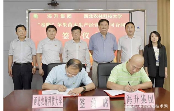 1200万元！西北农林科大苹果新品种“秦脆”成功转让，创国内新高 ... ...