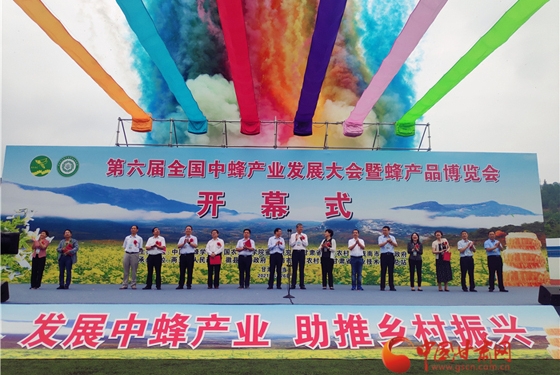 第六届全国中蜂产业发展大会暨蜂产品博览会在陇南两当开幕 ...
