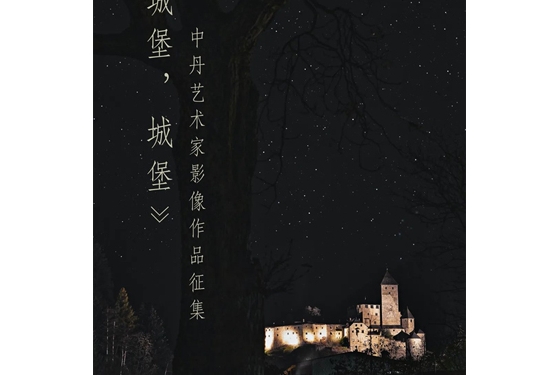 《城堡，城堡》中国、丹麦艺术家影像展启动作品征集