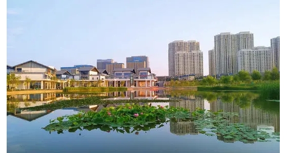 贴心又便民！兰州新区新增一个交通违法处理窗口