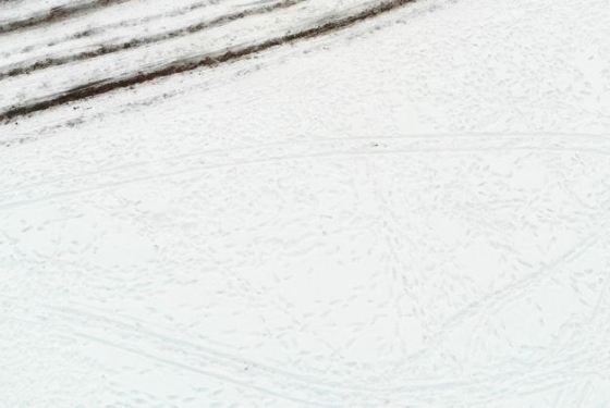 罕见！巴西数十座城市降雪，当地市民惊呼：这辈子头一次