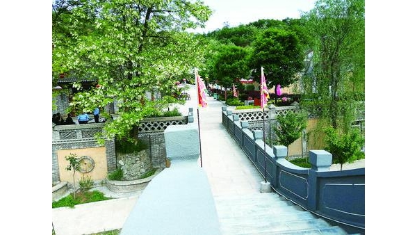 平凉泾川：特色产业迎丰收 乡村振兴启新程
