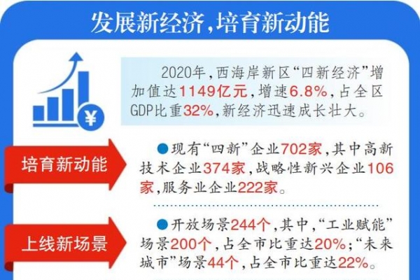 西海岸新区：新经济加速成长，激活高质量发展新引擎