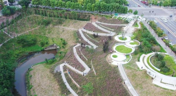 重庆两江新区：漫山遍野的粉黛色“染红”跳墩河 昔日水沟变身浪漫公园 ...