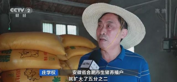 猪肉价格大跌！养一头猪亏500元？！饲料行业又迎“涨价潮”！接下来怎么走？ ...