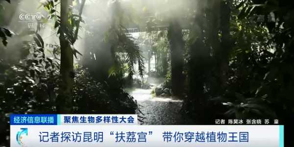 这里680多种植物都吃肉！走进昆明“扶荔宫”，带你穿越“植物王国”→ ...