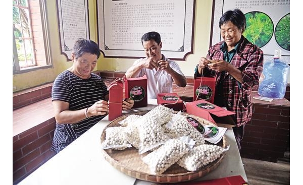 重庆荣昌：特色产业遍地开花 集体经济生机勃勃
