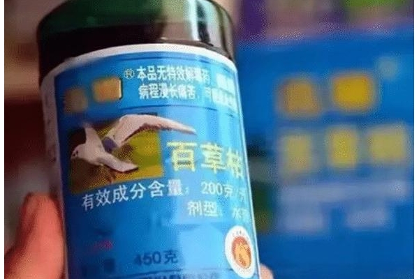 13岁百草枯女孩已经返回家、医生：她时刻都能感受来自身体的痛苦 ...