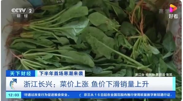 “菜比肉贵”？蔬菜价格连连攀升，有的甚至翻番！原因几何→ ...
