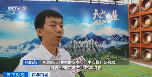 葡萄酒产业综合产值达150亿！新疆昌吉葡萄架下酿出幸福生活 ...