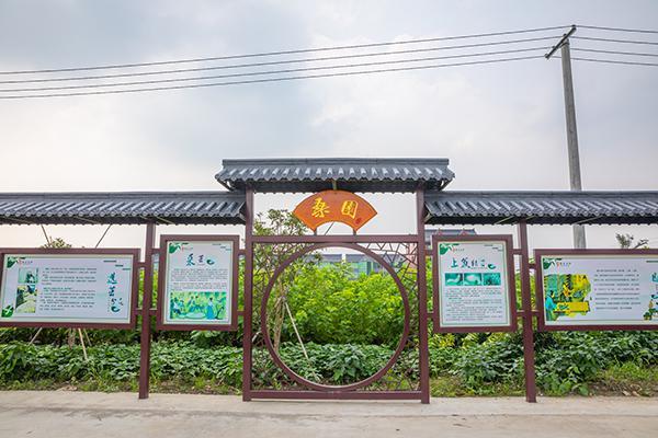 德清“牵手”长三角品牌带动全域共富 让传统产业“破茧成蝶” ...