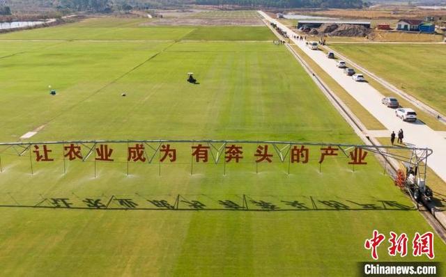 走进南京农业大学特色产业基地镜观“小草坪大产业”