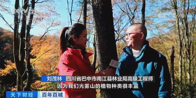 百年百城丨五彩斑斓的“红”，你见过吗？坐拥2400多种植物，这里太美了→ ... ...