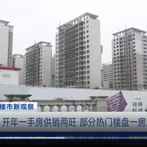 上海开年一手房销售活跃 热门楼盘一房难求！购房者：无论户型是否满意都要买 ... ...