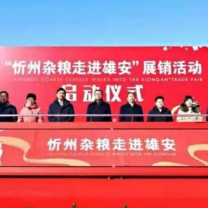 忻州杂粮走进雄安