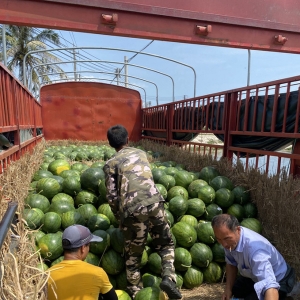男子开绿通货车高速出入口称重相差4吨，两地各执一词