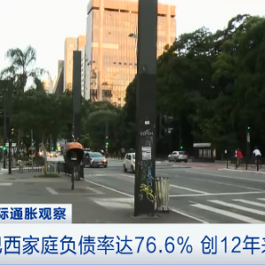 买必需品，用“赊购卡”？这里家庭负债率刷新纪录→
